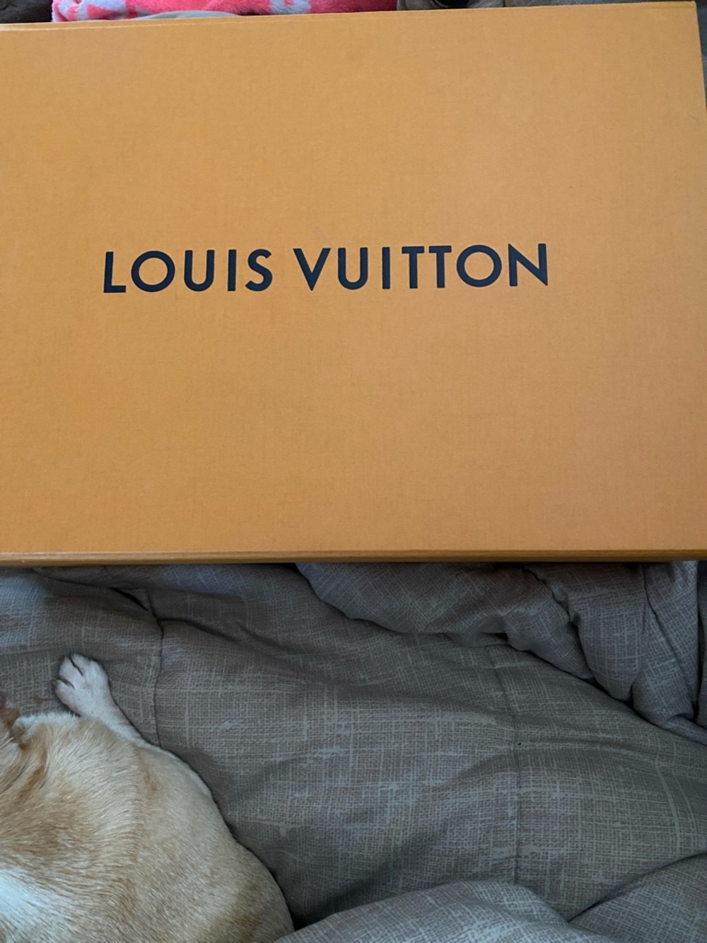 Authentic Louis Vuitton Handbag